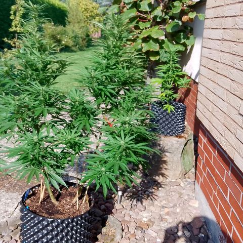 "Anna-Rebecca" growlog timeline photo