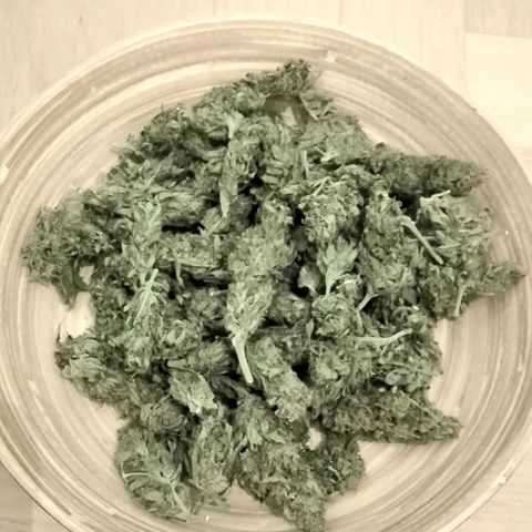 "Anna-Rebecca" growlog photo: Rebecca 49,5 g