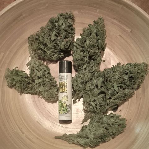 Stress Killer Automatic growlog timeline photo