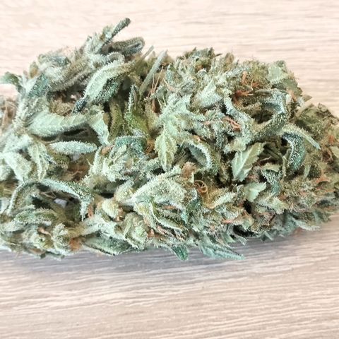 Stress Killer Automatic growlog timeline photo