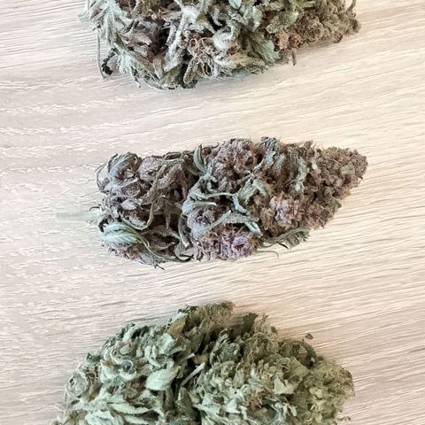 Stress Killer Automatic growlog timeline photo