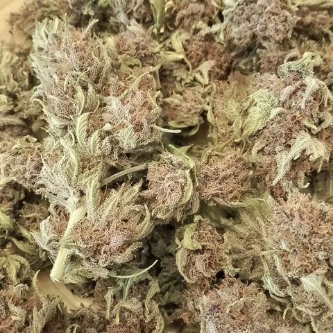 Banana Joeanna growlog timeline photo