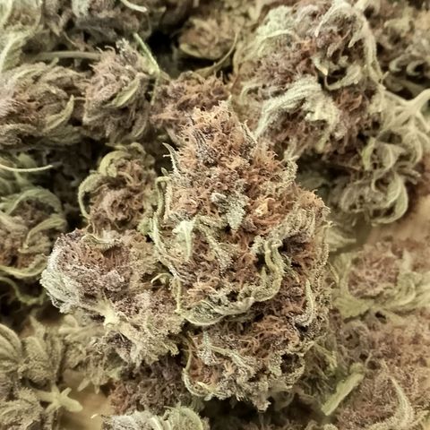 Banana Joeanna growlog timeline photo