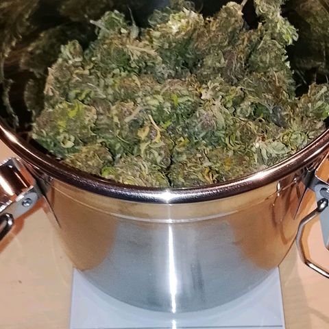 Tropicana Cookies FF growlog timeline photo