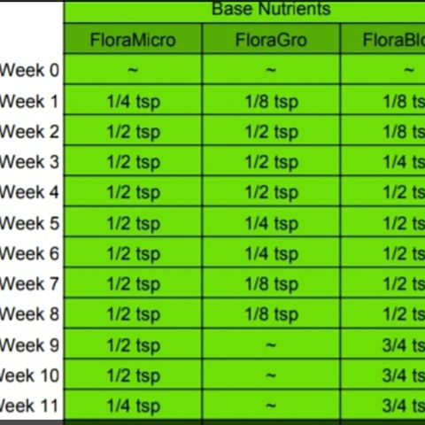 GOG growlog photo: Schedule from GWE. 