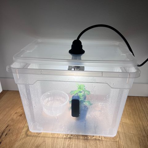 S.N.B  #1 growlog timeline photo