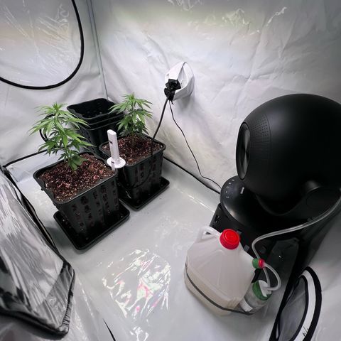 S.N.B  #1 growlog timeline photo