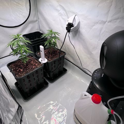 S.N.B  #1 growlog timeline photo