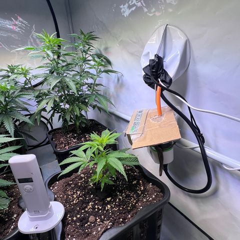 S.N.B  #1 growlog timeline photo