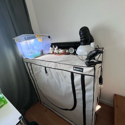 S.N.B  #1 growlog photo: Perfekt Umgestellt!