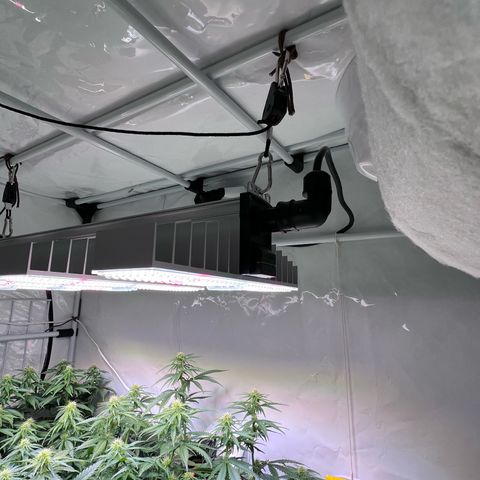 S.N.B  #1 growlog photo: Perfekt Umgestellt! 
