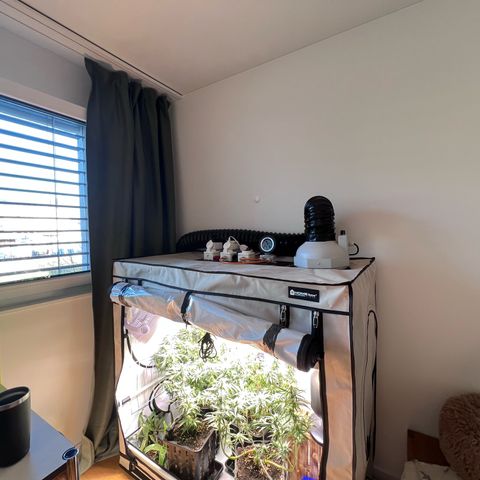 S.N.B  #1 growlog timeline photo