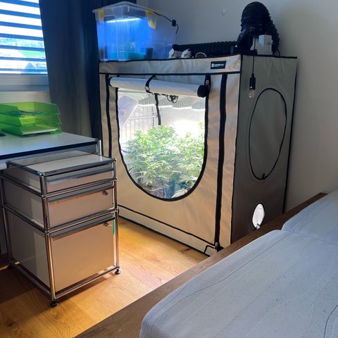 S.N.B  #1 growlog photo: Perfekt Umgestellt!