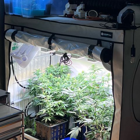 S.N.B  #1 growlog photo: Perfekt Umgestellt! 