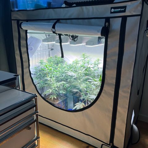 S.N.B  #1 growlog photo: Perfekt Umgestellt!