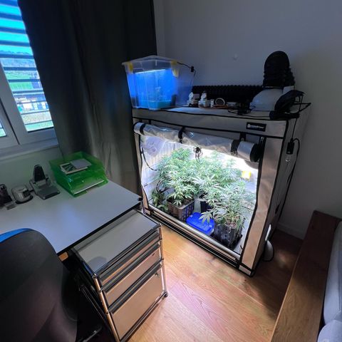 S.N.B  #1 growlog photo: Perfekt Umgestellt! 