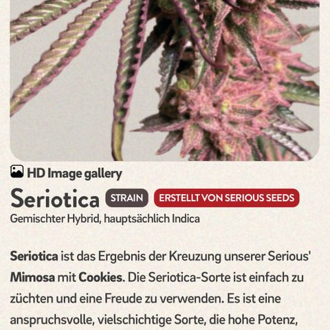 S.N.B  #1 growlog photo: Temperatur Kontrolle