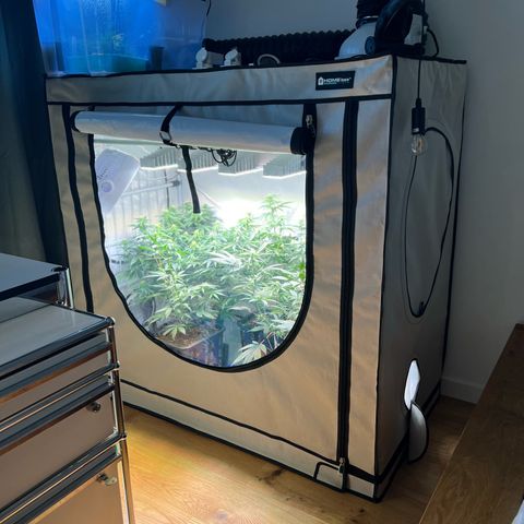 S.N.B  #1 growlog photo: Perfekt Umgestellt!