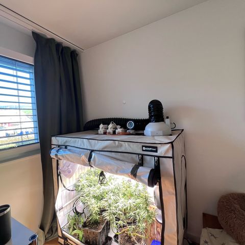 S.N.B  #1 growlog timeline photo