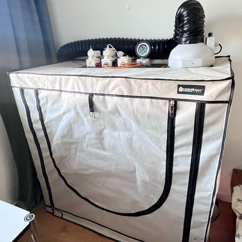 S.N.B  #1 growlog timeline photo