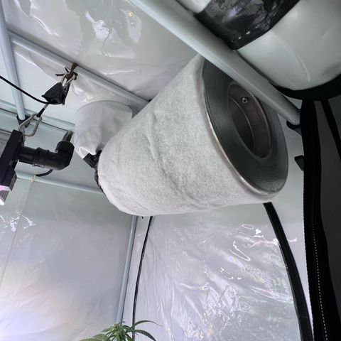 S.N.B  #1 growlog photo: Perfekt Umgestellt! 