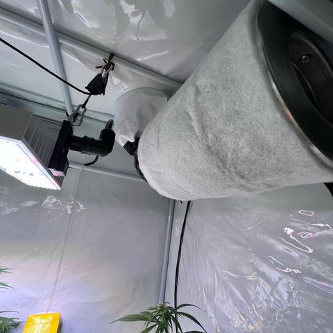 S.N.B  #1 growlog photo: Perfekt Umgestellt! 