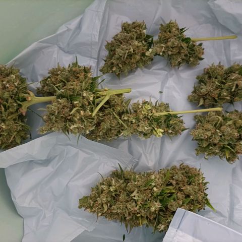 Ak47 Auto growlog timeline photo