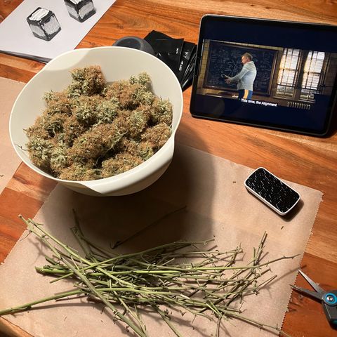 Amelia Earhart growlog photo: 152g of Sticky Orange XXL