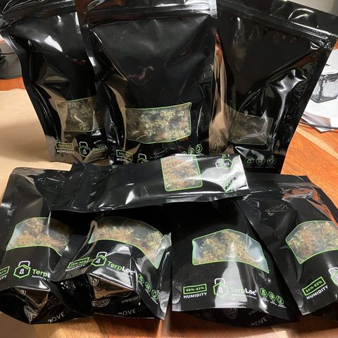 Amelia Earhart growlog photo: 152g of Sticky Orange XXL