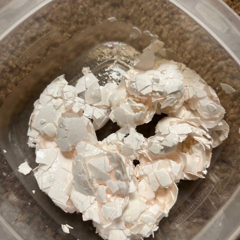Spree growlog photo: Threw in egg shells to help supplement calcium until I get cal mag
