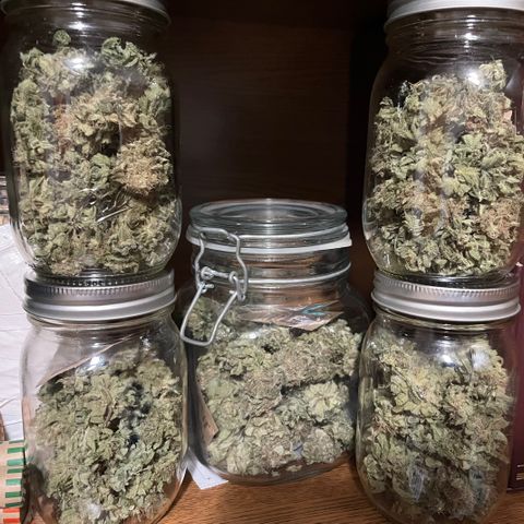 Spree growlog timeline photo