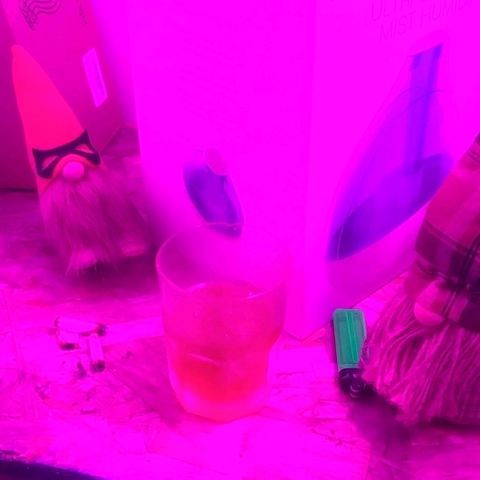 Amnesia haze growlog timeline photo