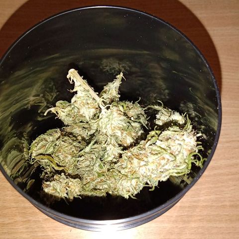 Ghaliya growlog timeline photo