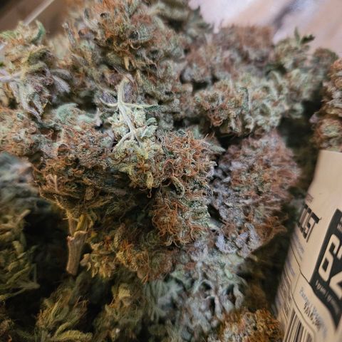 Dream dja growlog photo: 88gr +6gr = 94gr 