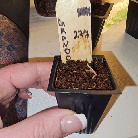Leon growlog timeline photo