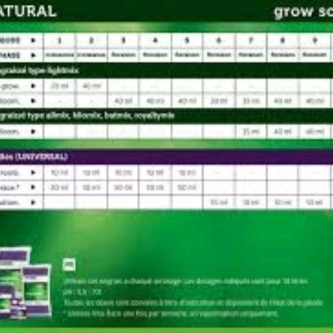 Eleven Rose growlog photo: Test