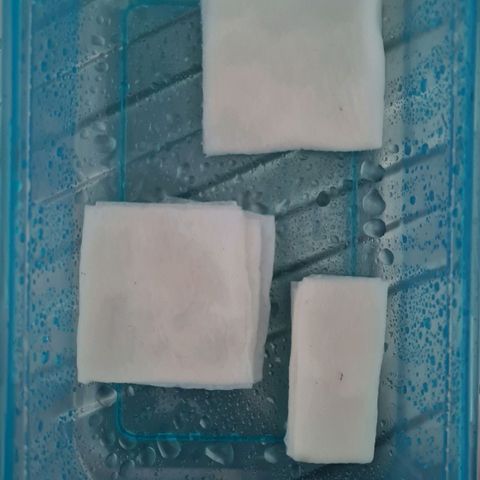 Eleven Rose growlog photo: Germination : Amnesia haze x2
Northern light x1 