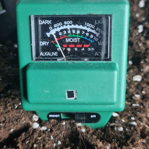 Eleven Rose growlog photo: Ph avant solution : 7,8 