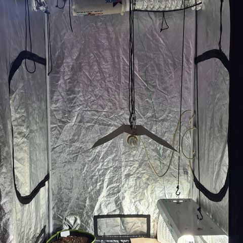 Eleven Rose growlog photo: Installation terminée