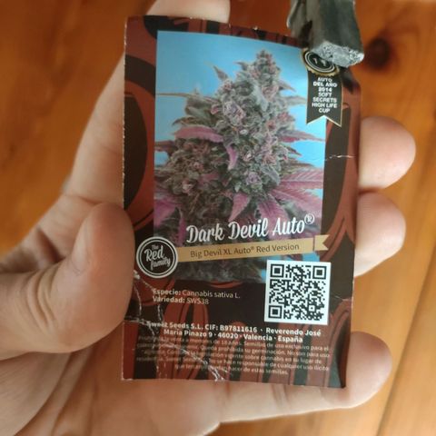 Big Devil XL Auto growlog timeline photo