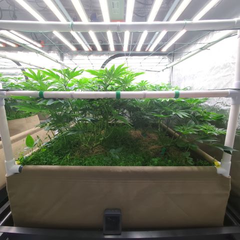 Mimosa Evo growlog photo: 4x4