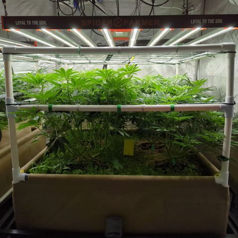 Mimosa Evo growlog photo: 4x4