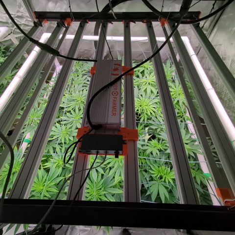 Mimosa Evo growlog photo: 4x4