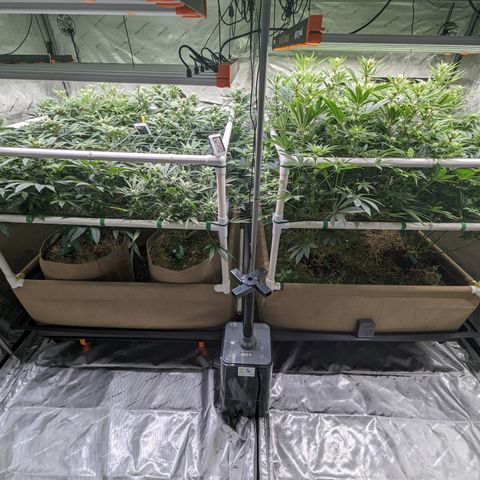 Mimosa Evo growlog timeline photo