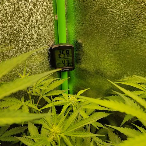 Ernie und Bert growlog timeline photo