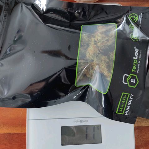 Ernie und Bert growlog photo: 51 g. Für den ersten Grow ok. 