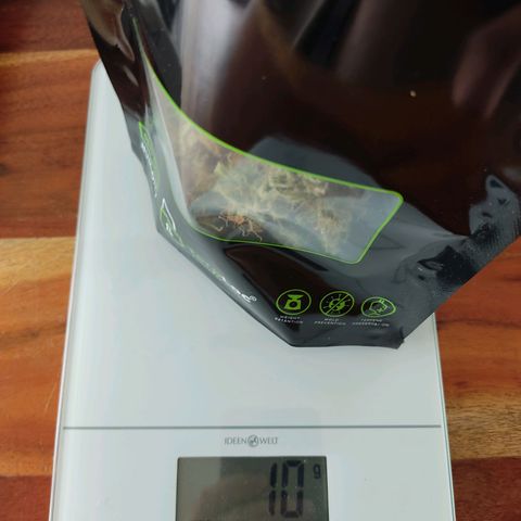 Ernie und Bert growlog photo: 51 g. Für den ersten Grow ok. 