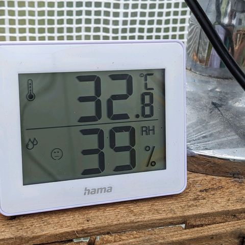 Sensi Amnesia Automatic growlog photo: Heiß und trocken 
Ich habe danach gegossen in der Hoffnung etwas Linderung zu gewährleisten 