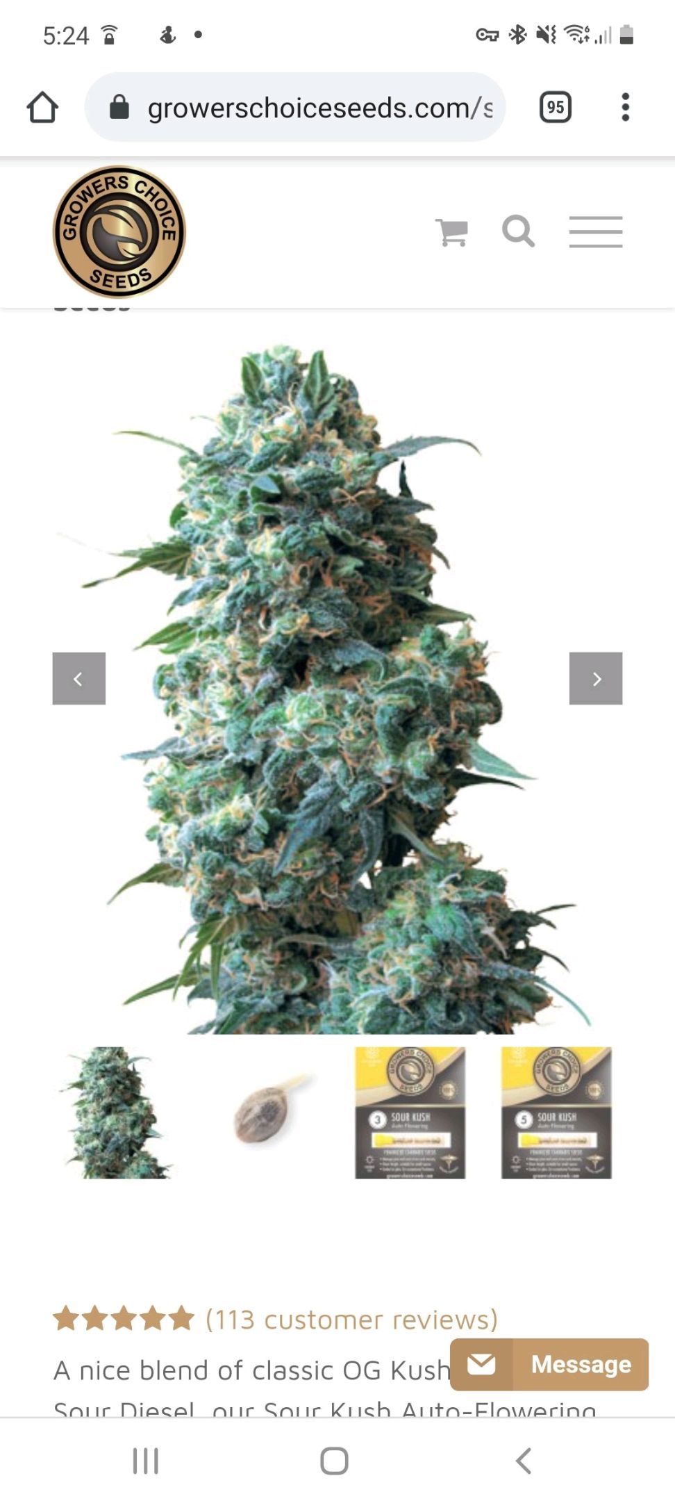 Sour Kush growlog header