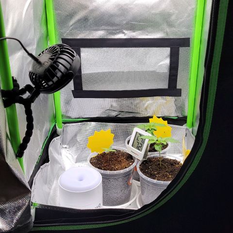 Special 1 # growlog timeline photo